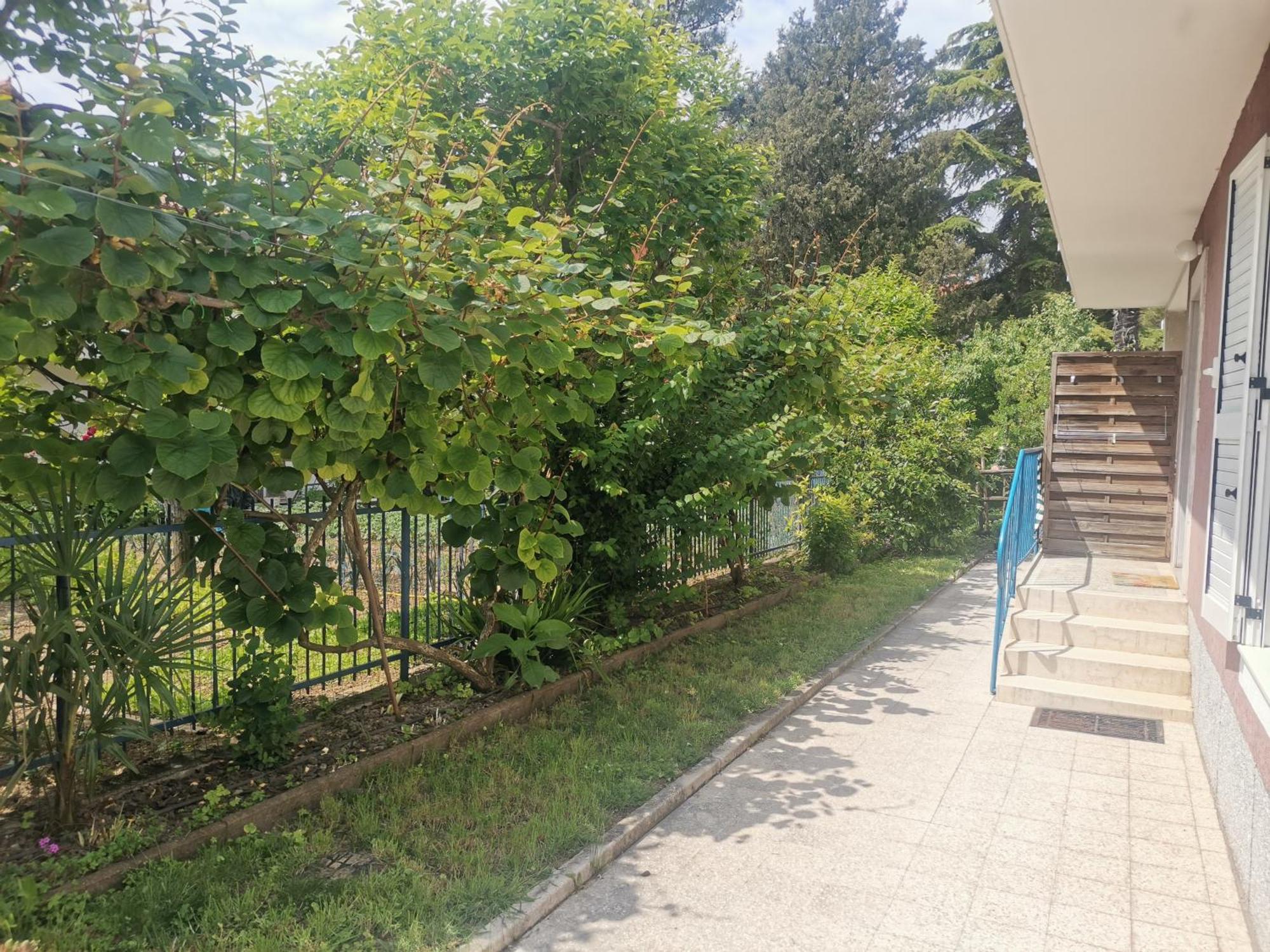 Pri Noni "Istracycle" Appartement Lucija Buitenkant foto